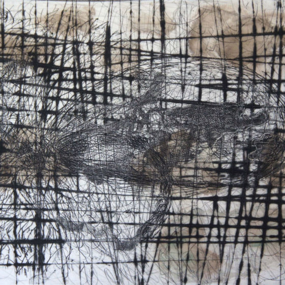Formigola, pointe sèche et collage sur encres, 21×28 cm