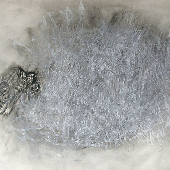 Io-cespuglio, pastel à l’huile, 80×100 cm